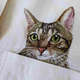 Illustration for article titled Internet Cats Make Boring Dress Shirts Better